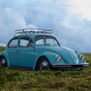blue Volkswagen Beetle on grass field